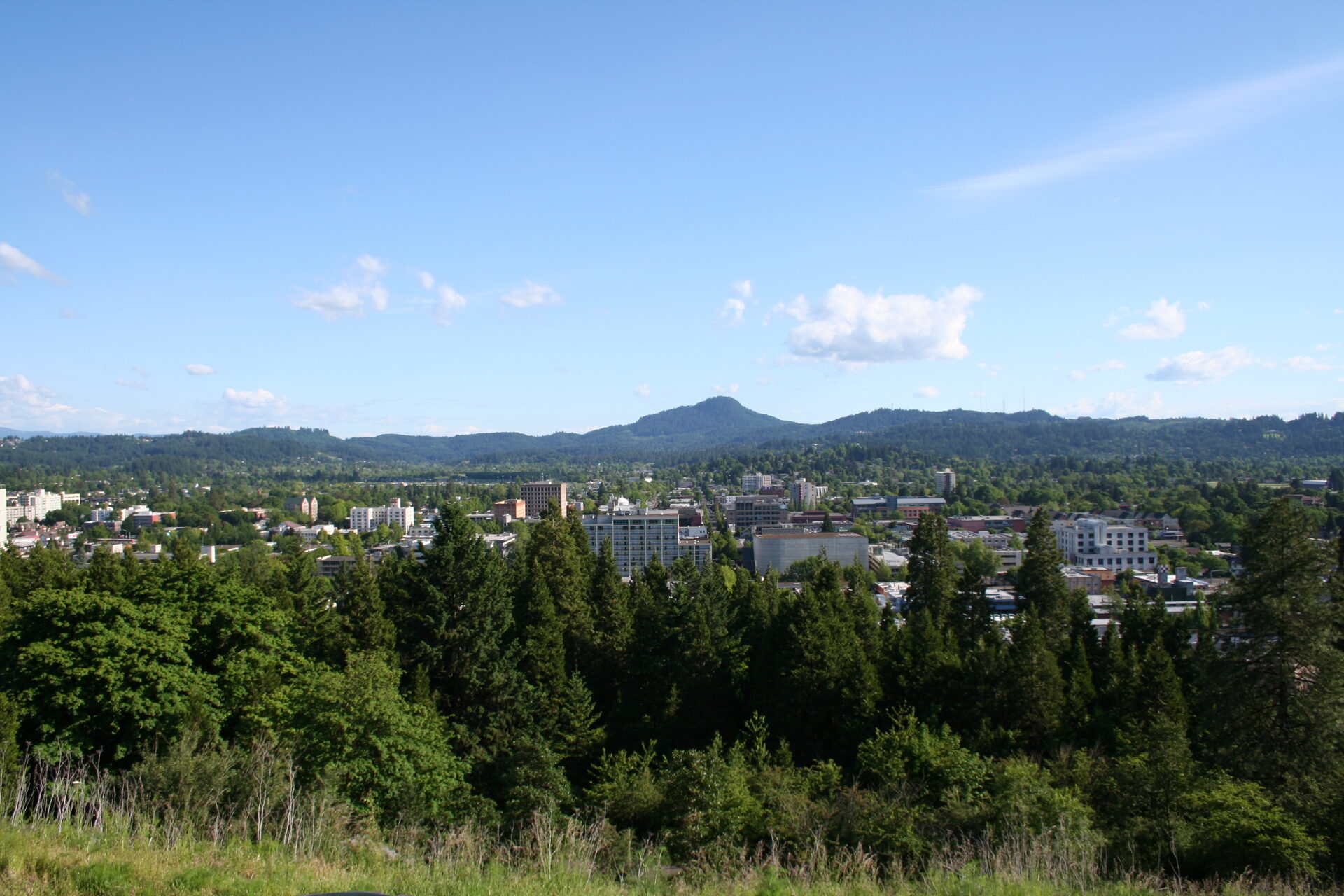 Eugene, Oregon viewed from Skinner Butte with the Cascade foothills beyond